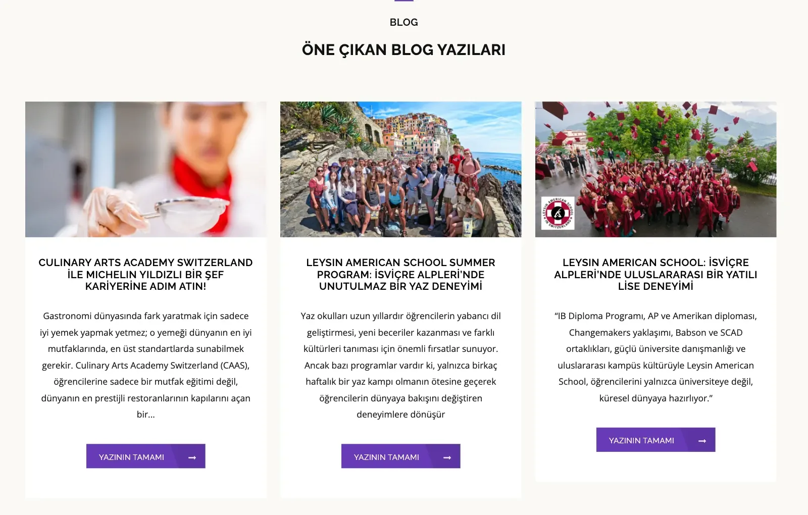 Mor Academia anasayfası: Öne çıkan blog yazıları