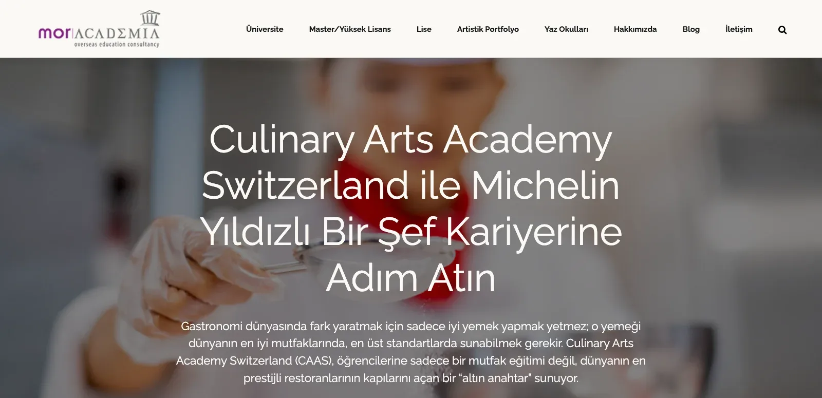 Mor Academia anasayfası, üst bölüm