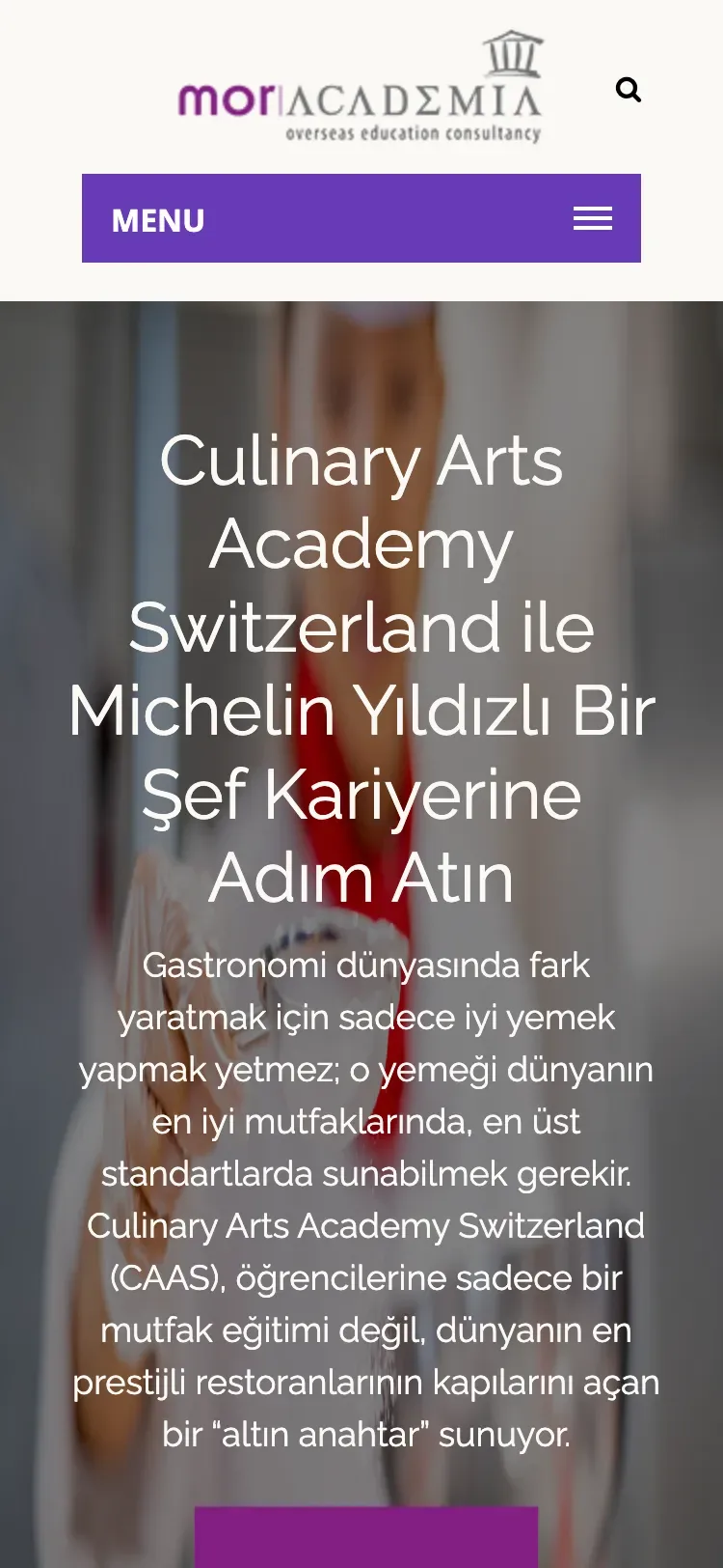 Mor Academia mobil: Anasayfa